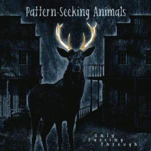 PATTERN-SEEKING ANIMALS-ONLY PASSING THROUGH (CD)