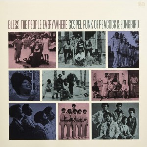 Various Artists - Bless The People Everywhere: Gospel Funk Of Peacock And Songbird (Vinyl)