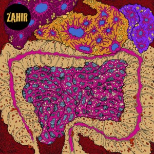 ZAHIR-WHAT NOISE? (2018) (CD)